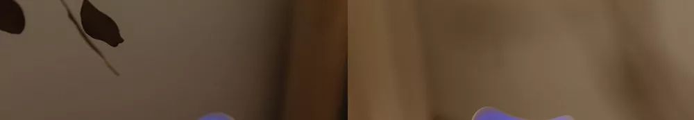 灭蚊灯中的终结者！纯物理灭蚊，无毒无味，孕妇孩子都可用