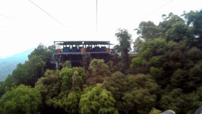 最新白云山风景区攻略,广州白云山野采好去处