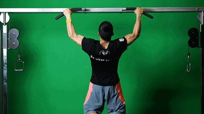 健身背部肌肉分布图,健身增肌背部肌肉怎么练