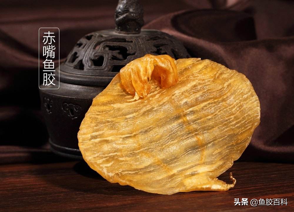 鱼胶真的有那么多胶原蛋白吗,鱼胶揭秘