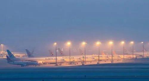 沙特为何降低油价,沙特油为什么降价了