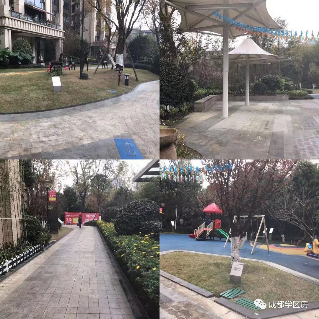 建设路附近学区房,热门双半径学区房