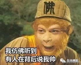 岳池“悟空”大闹龙藏山“九龙”智取降泼猴