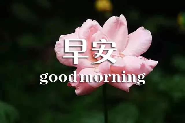 早上好心灵鸡汤正能量语句,早上好的励志句子心灵鸡汤