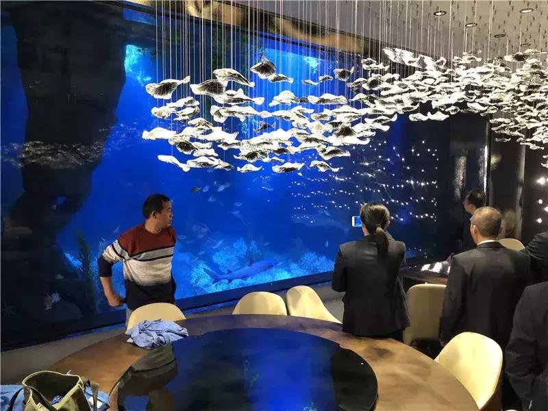 深坑酒店上海建设过程,上海深坑酒店建在哪里