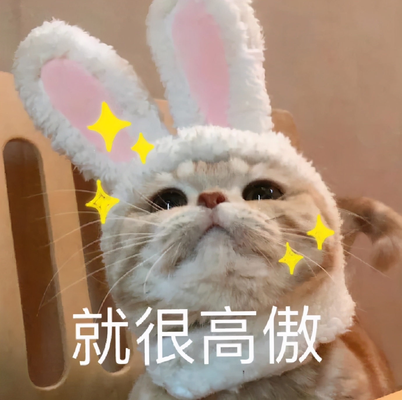 男朋友很直男不体贴,男朋友很直男不懂浪漫