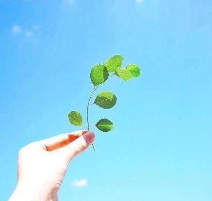 很有深意的阳光励志句子,致不甘平庸的你!