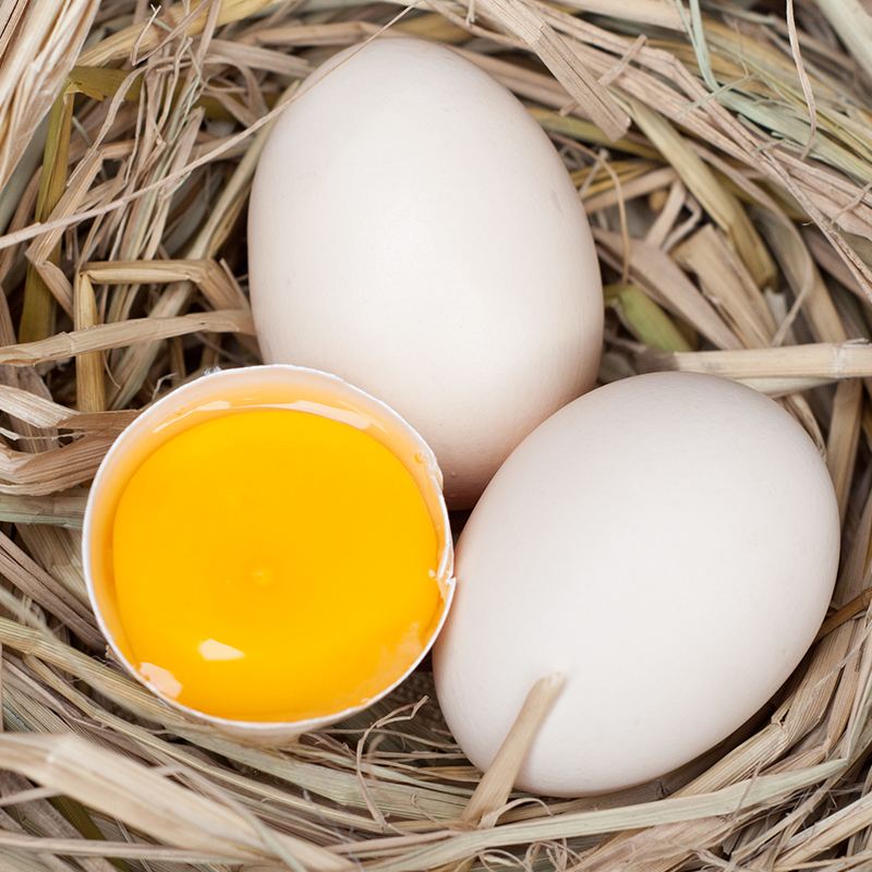生鸡蛋能生吃吗,生鸡蛋能吃吗迷信说法