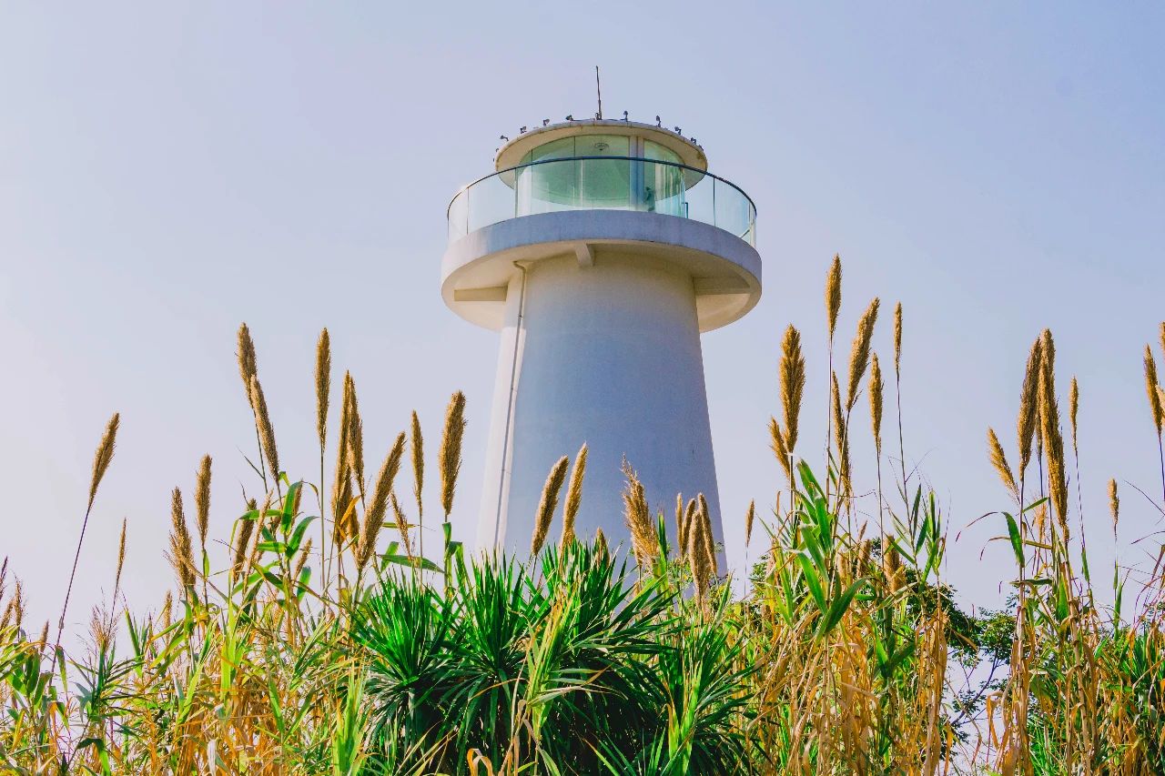 深圳这27个热门游玩地，坐2号线全都能到