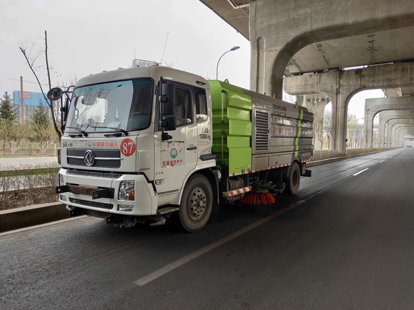 “城市黄玫瑰绽放新英姿”