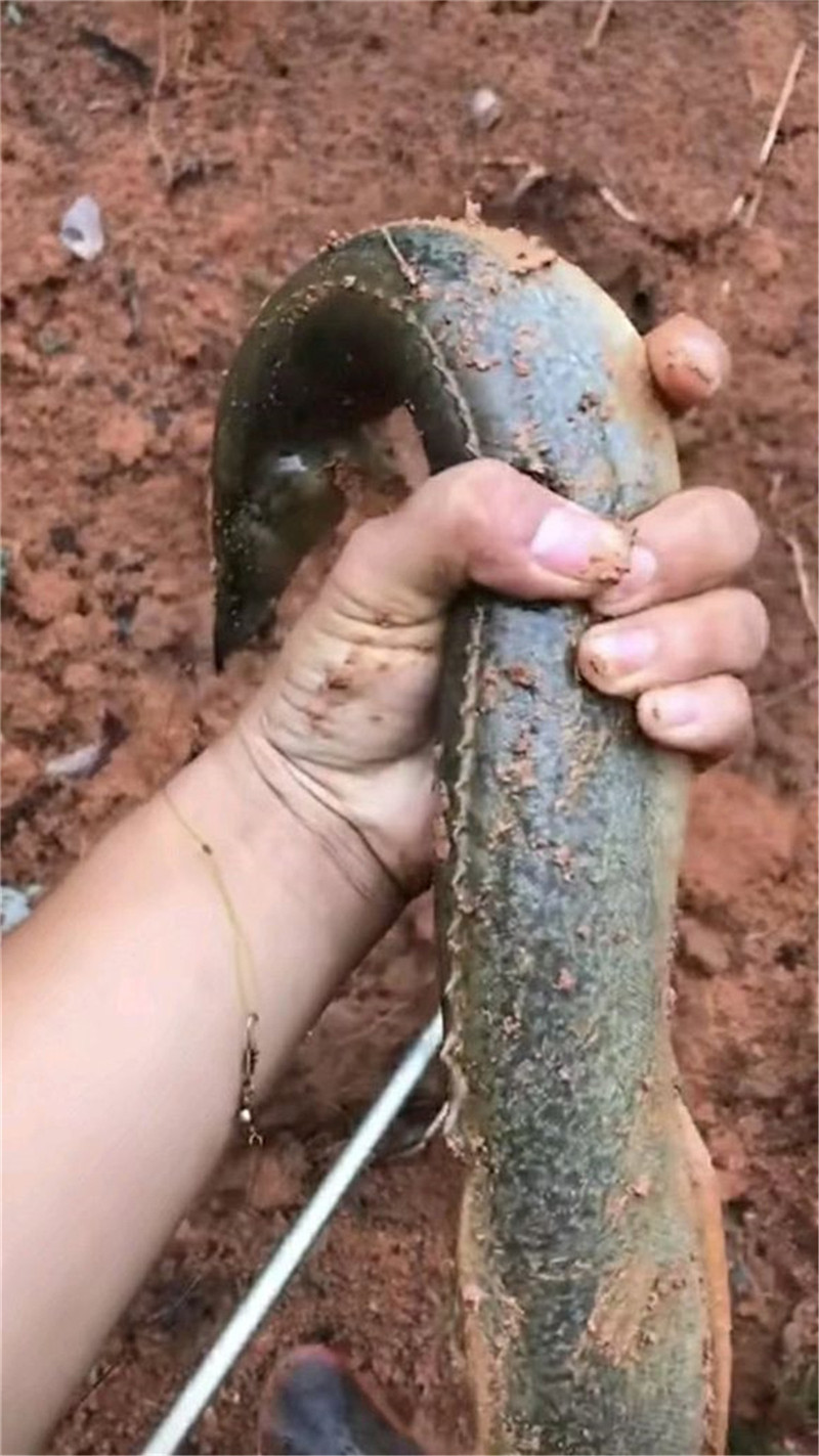 PE子线打结法,pe线子线怎么打结不会缠线