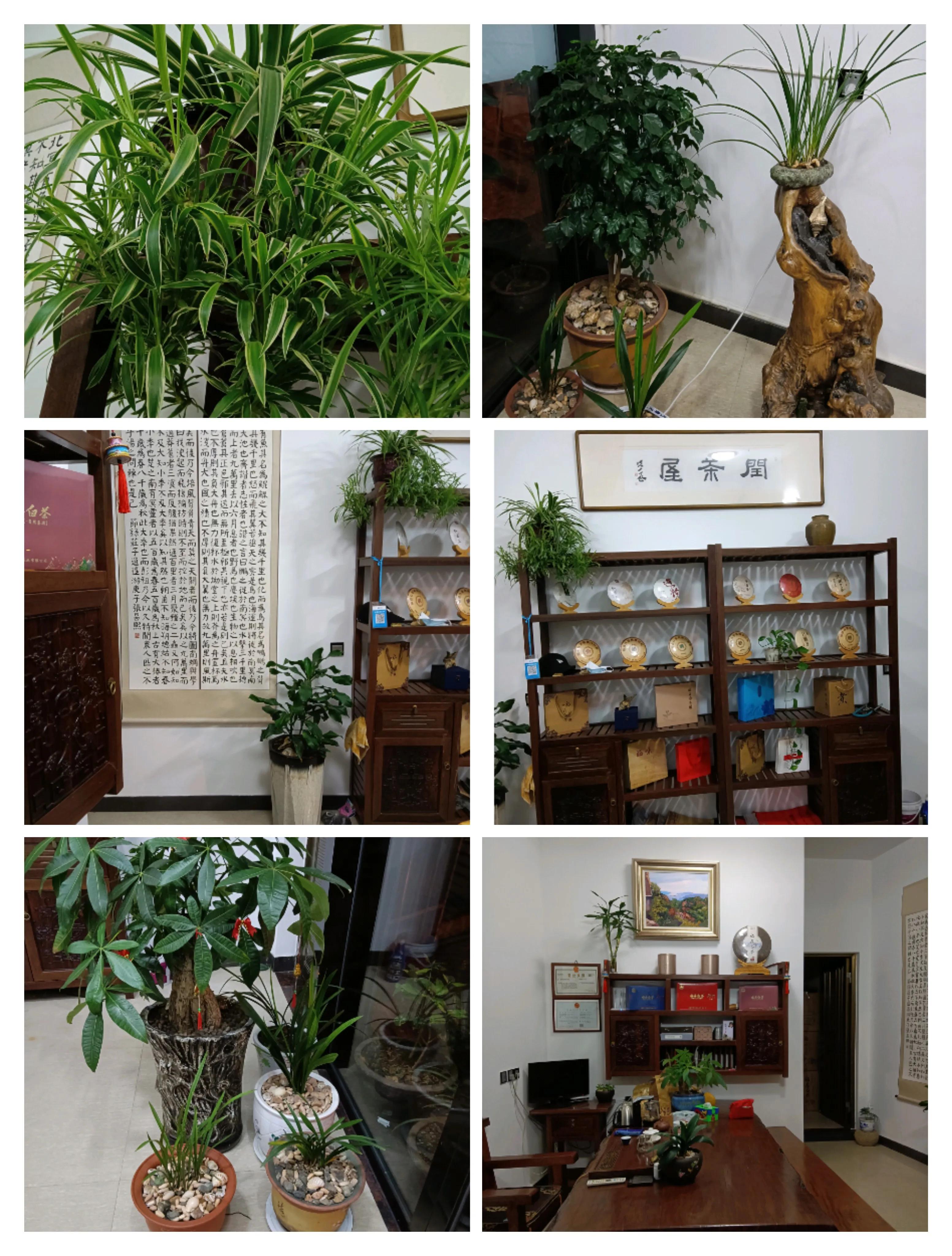 老梁揭秘抖音,老梁揭秘微头条