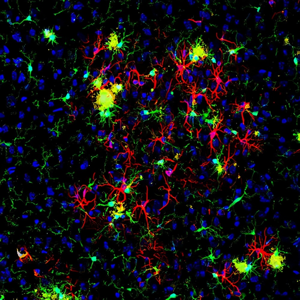 纯天然的护肤油有哪些功效,纯天然植物基础油用来护肤好吗