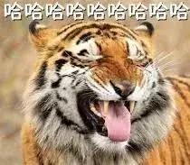 秦牛正威谁更厉害,秦牛正威对比视频