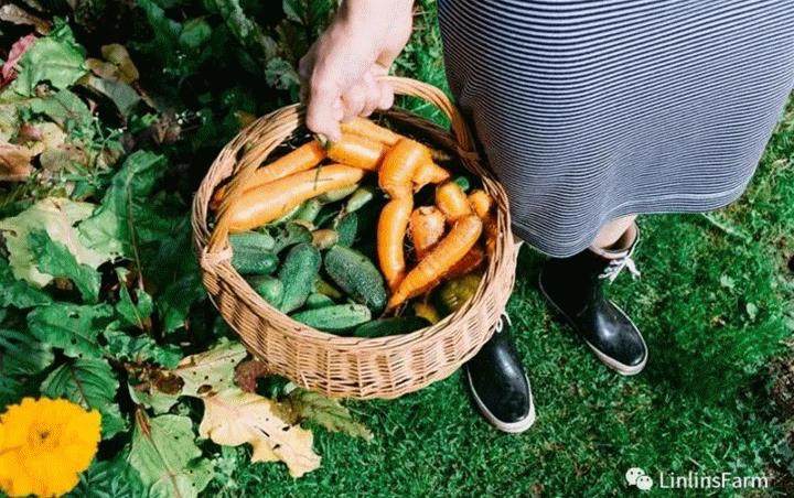 北京LinlinsFarm餐厅将田园搬进了都市，168元双人精选牛排餐