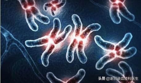 谢别录的中药治白血病怎么样,慢粒白血病到加速期有什么症状