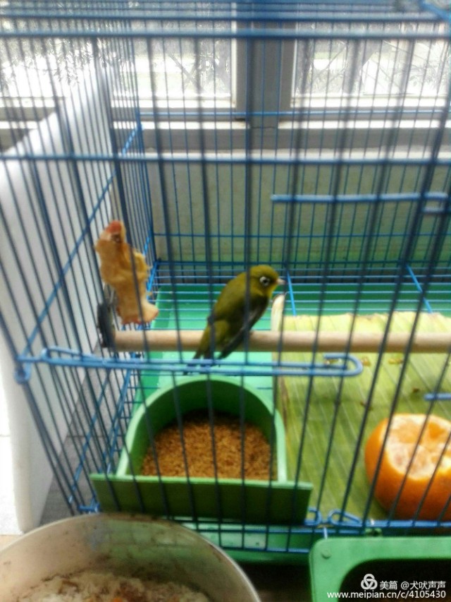 花甲后的新西兰自驾之旅(一)