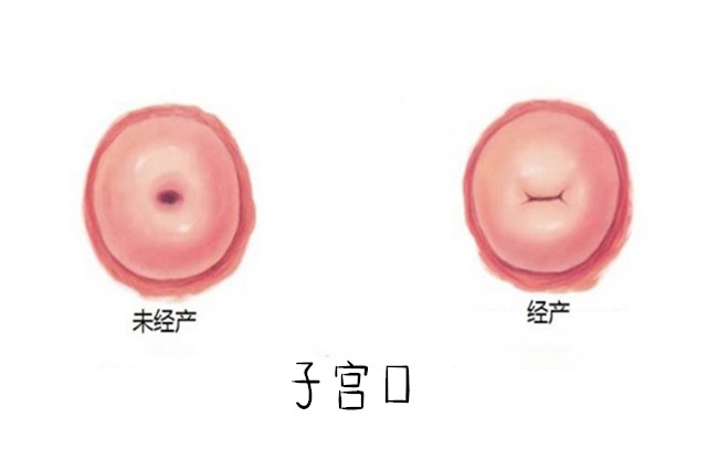 生孩子前医生会问第几胎吗,生过孩子可以跟医生说第一胎吗