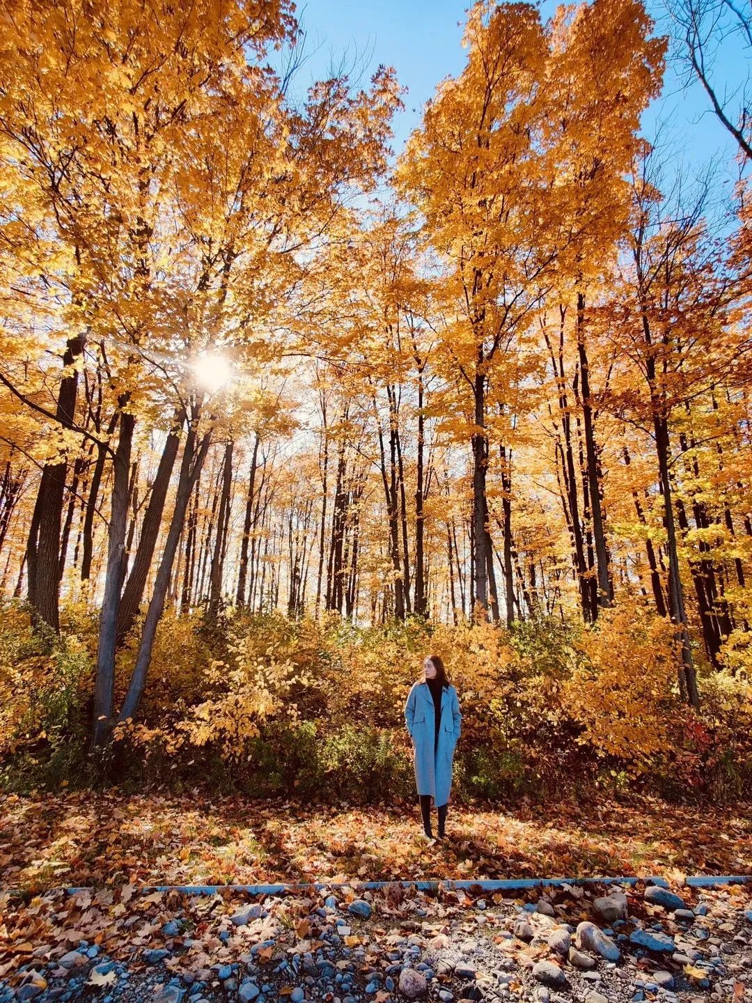 在加拿大居住有什么条件,在加拿大居住的真实感受