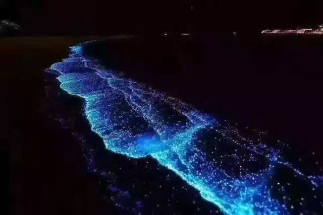 惠州双月湾君廷度假酒店★海景房+双人早晚餐+网红泳池