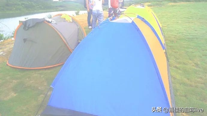 福鼎一日游学生攻略,福鼎两日自由行攻略