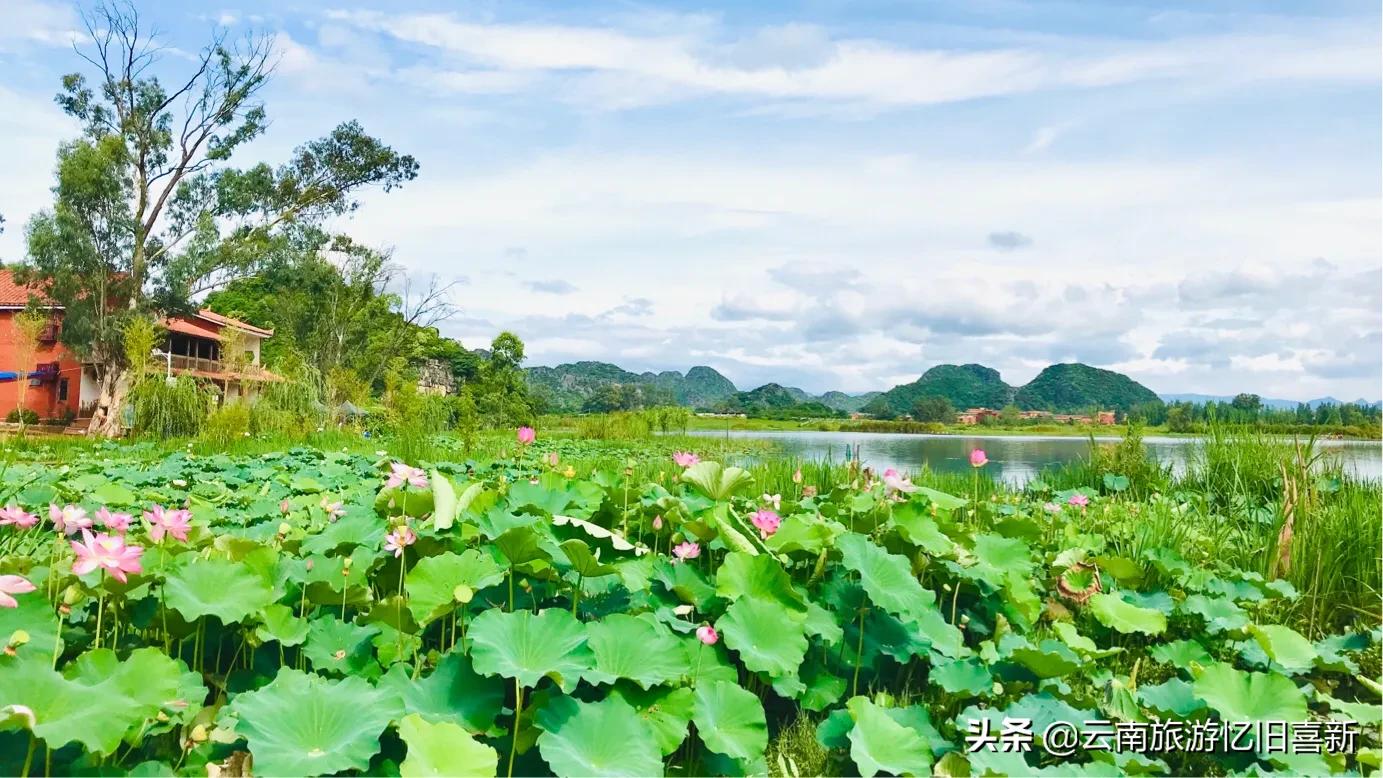 普者黑自驾游攻略,自驾云南普者黑景区攻略