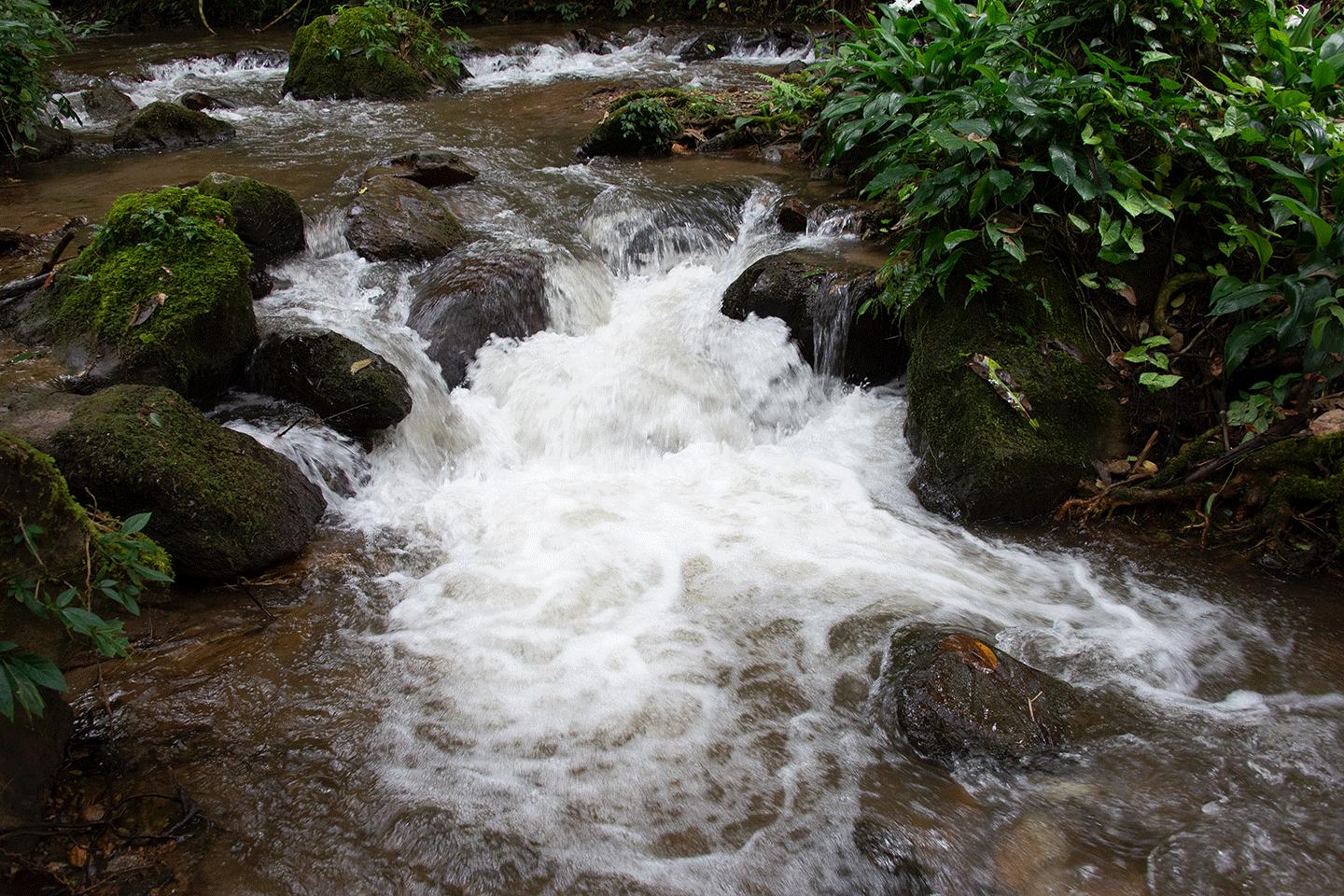 溪水潺潺心旷神怡,美景溪水潺潺