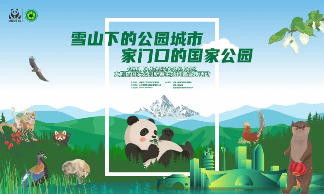 来成都看大熊猫攻略,成都看熊猫旅游攻略来了