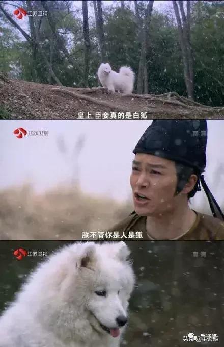 玩联姻、抓间谍、还要领兵打仗，在这款单机游戏里当国王简直了