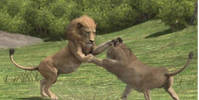 胜者为王多少集,胜者为王一共多少集