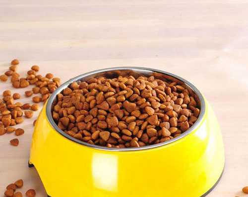 狗后腿无力尿失禁,泰迪狗后腿无力