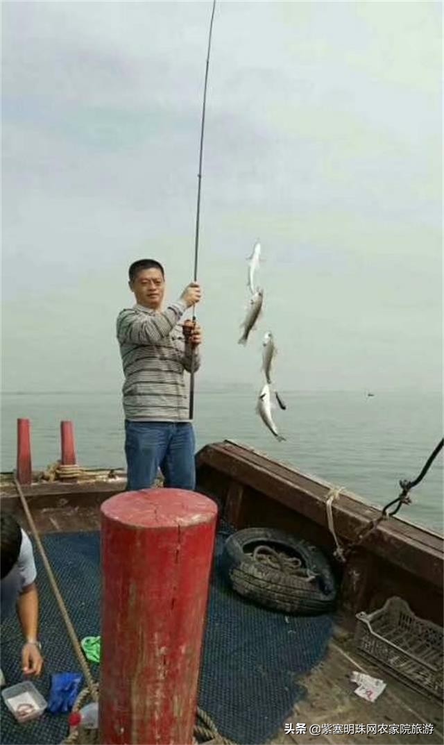 唐山月坨岛009号别墅农家院（原乐亭三岛幸福农家院）享休闲时光