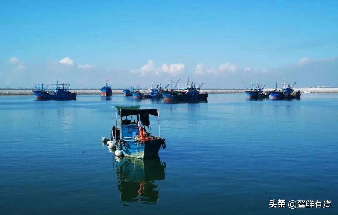 鳌鱼清蒸,鳌鱼清蒸做法窍门