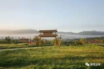 乘森林生态小火车之游