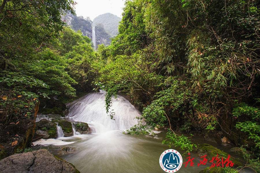 2020最强“广西大全”来了！承包柳州人一整年的旅行