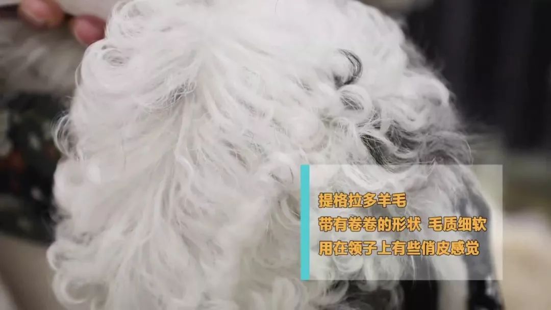 皮衣怎么穿都能穿出高级感,如何挑选适合冬季的皮衣款式