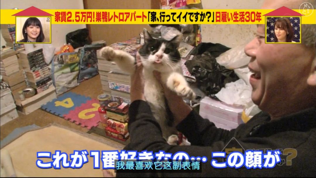 这几年有什么好看的综艺节目 (这才是国产综艺该有的样子)