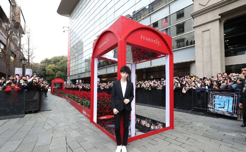 tfboys五周年演唱会四叶草,tfboys资源差距大吗