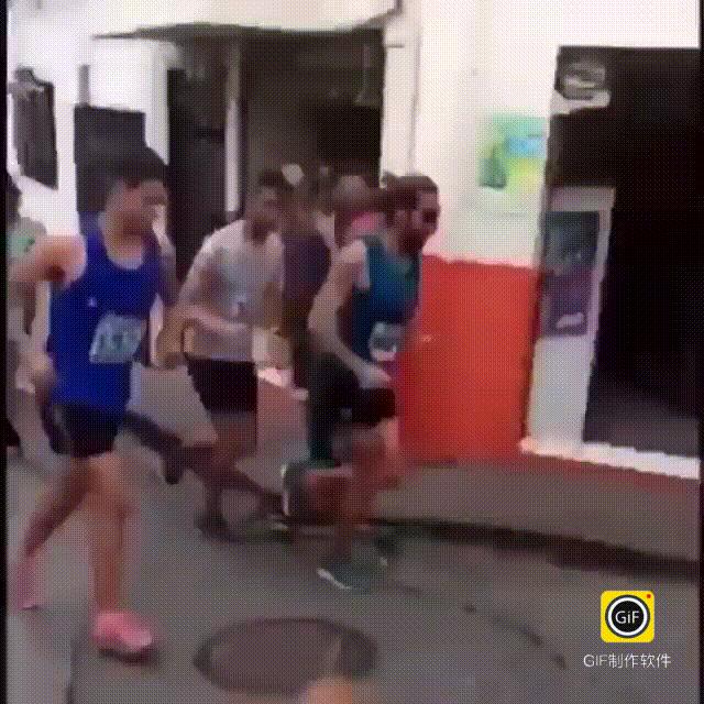 运动员踢死一只小狗,运动员踢小狗