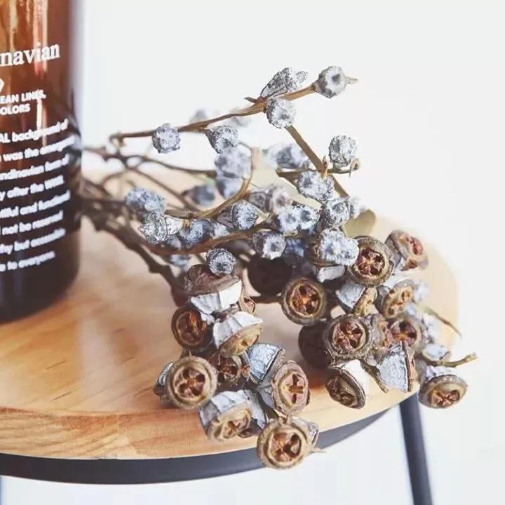 适合干花的装饰,简单的干花装饰