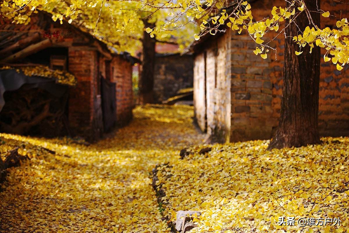 漓江兴坪古镇美景,兴坪古镇漓江游