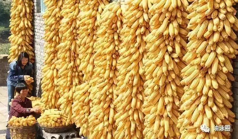 中国油脂发展历史,简述油脂工业的发展史