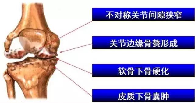 mri临床医师必读电子书,临床医生如何读mri