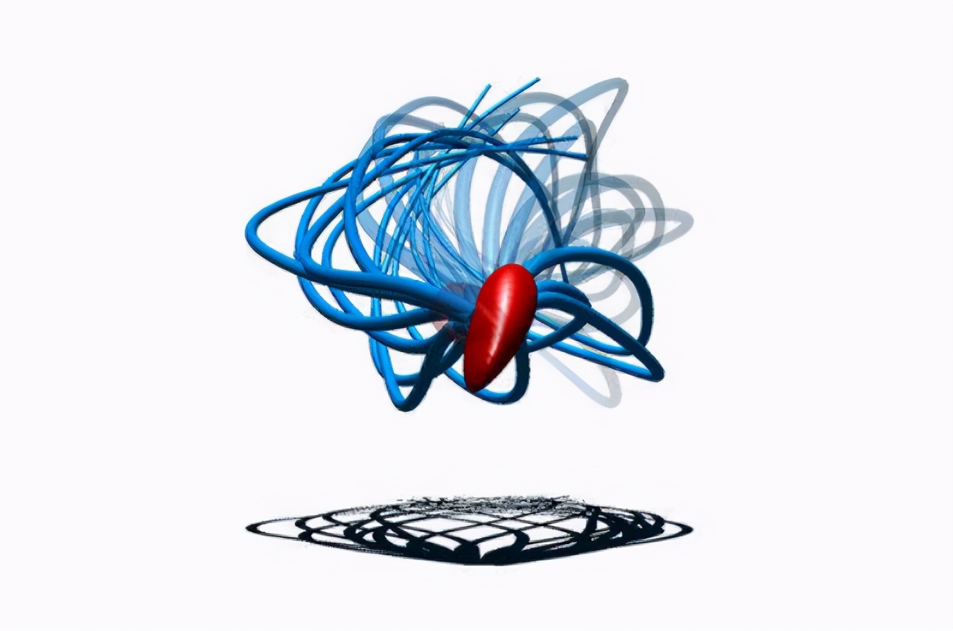 为什么精子会以蝌蚪的形式存在,科学家首次发现精子运动