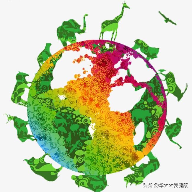 益生菌的真正作用,益生菌真的对身体有帮助吗