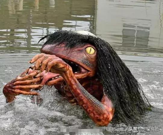 北京奥运会吉祥物不怎么样,北京冬奥会日本进场吉祥物