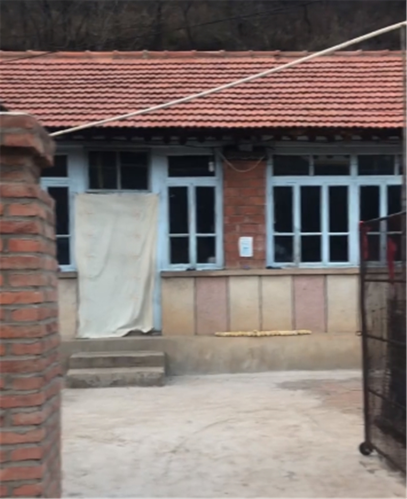 蔡萝莉爆红,蔡萝莉之前热度视频