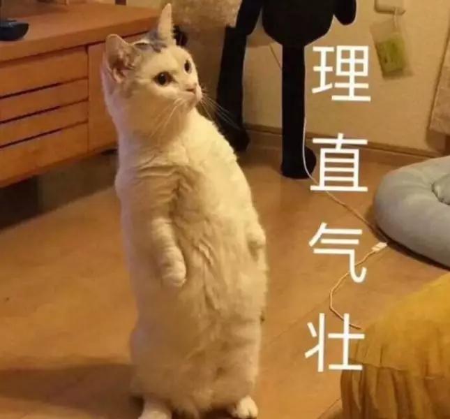 孩子上学家用连接手机打印机推荐,家用孩子上学常用打印机