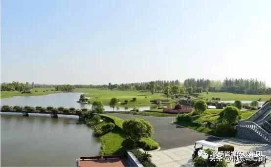 城市推介官推介家乡,武汉城市推介会