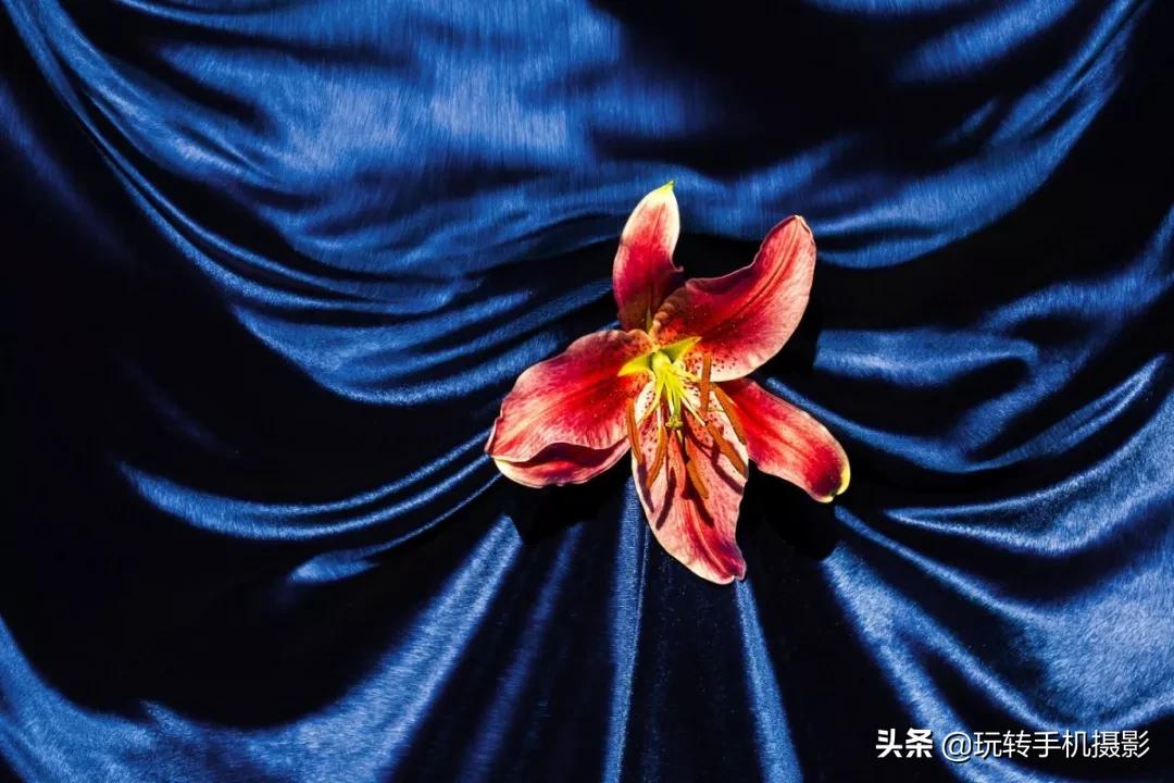 宅宅的风格拍照,绝美宅家拍照教程秒get氛围感照片